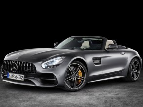 Фотографии модельного ряда Mercedes-Benz AMG GT родстер